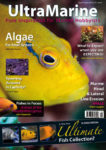 UltraMarine Magazine Issue 45