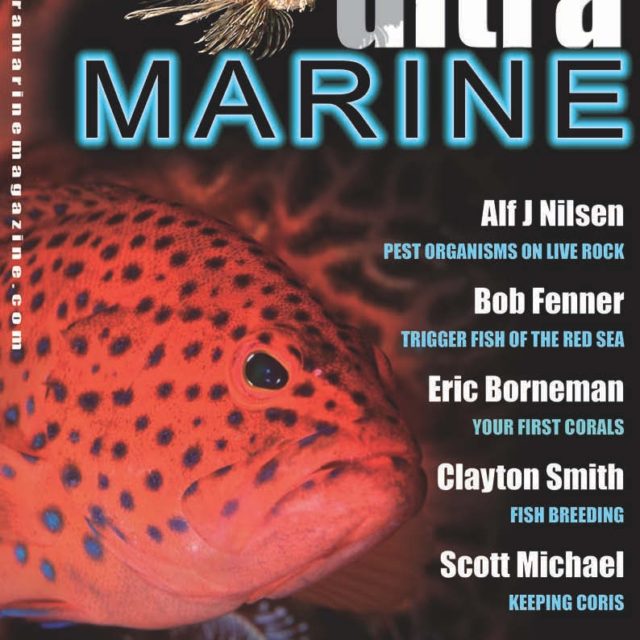 UltraMarine Magazine Issue 1 Cover